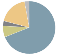 This pie chart represents Ontario Borrowing Program by Bond Type